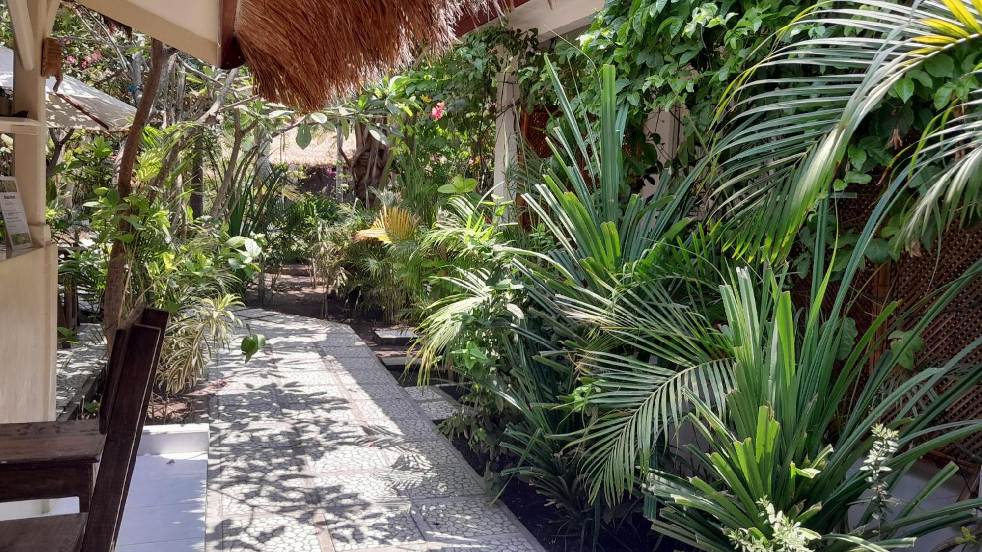 Wombat'S B&B Gili Trawangan Zewnętrze zdjęcie